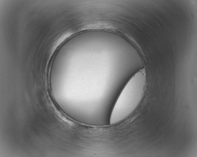 X0000077341087200610200934