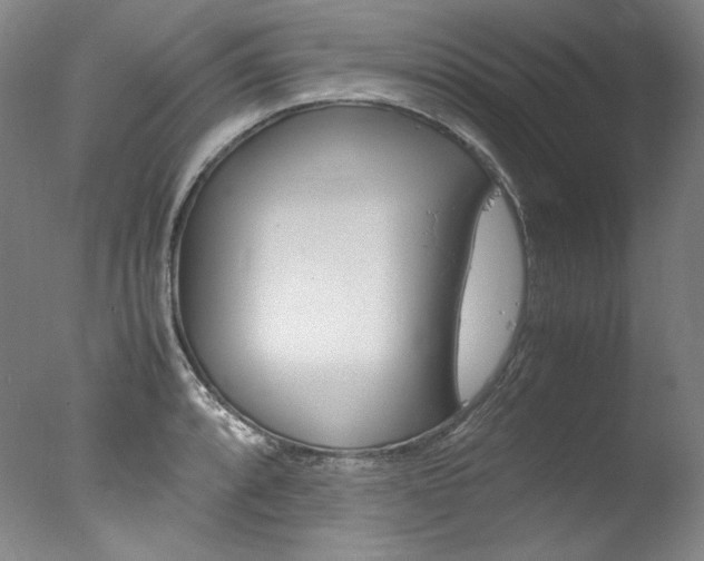 X0000077341088200610200934