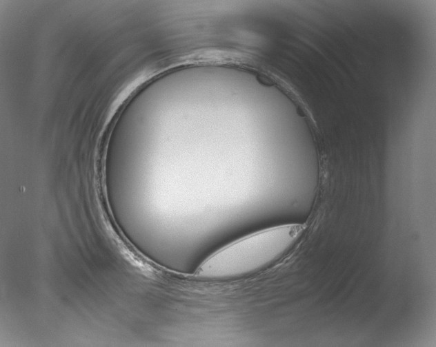 X0000077341091200610200934