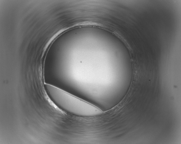 X0000077341092200610200934