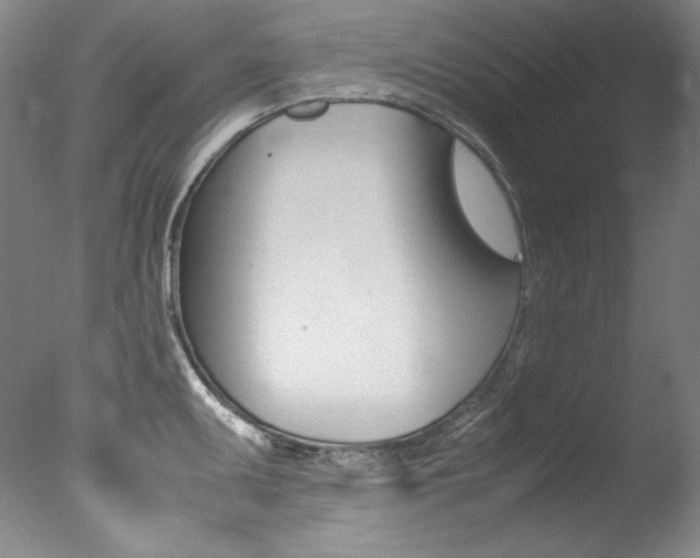X0000077341095200610200934