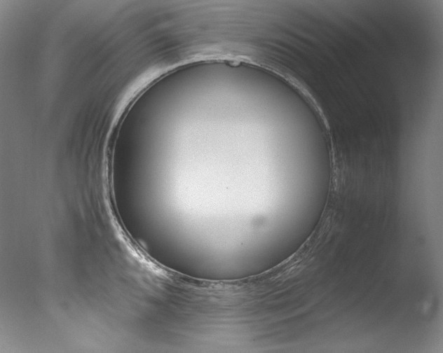 X0000077341096200610200934