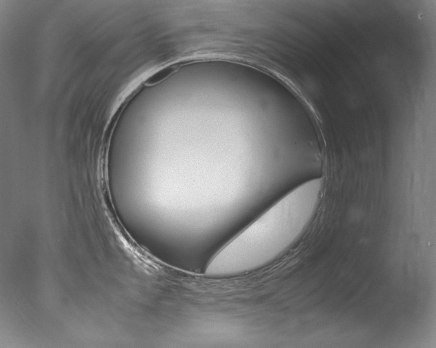 X0000077341101200610200934