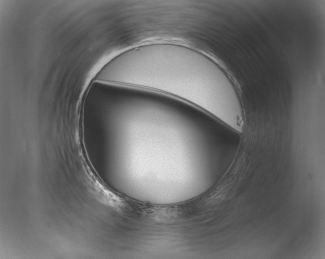 X0000077341102200610200934