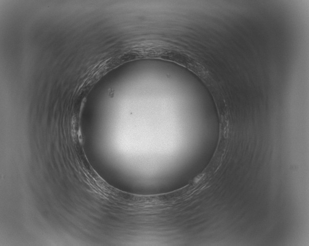 X0000077341108200610200933