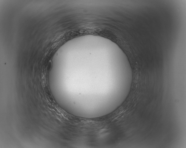 X0000077341109200610200933
