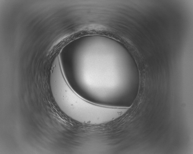 X0000077341112200610200933