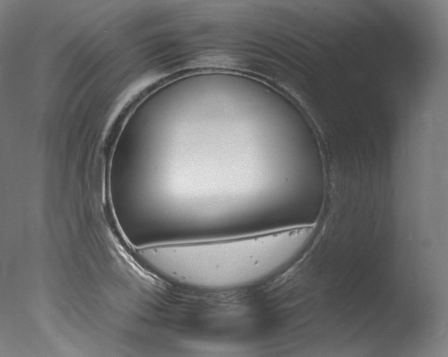 X0000077341123200610200934