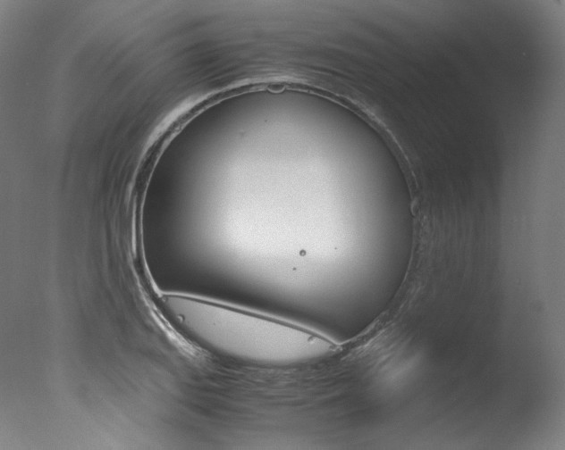 X0000077341127200610200934