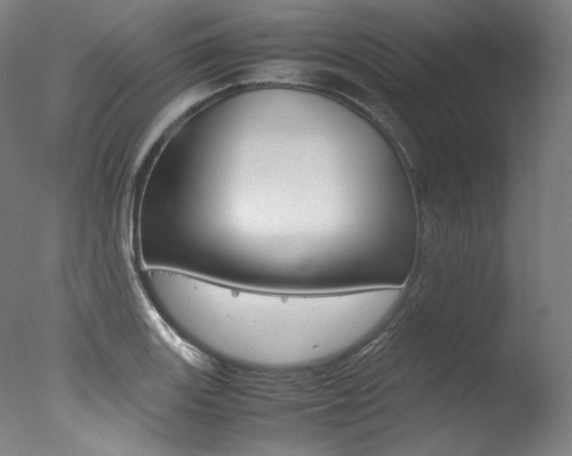X0000077341131200610200934