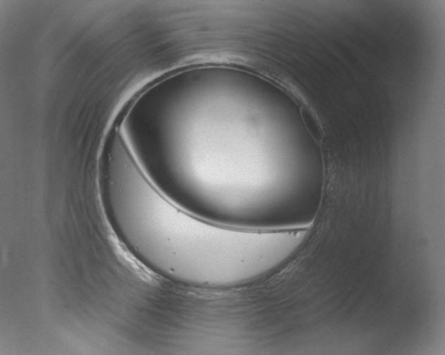 X0000077341132200610200934