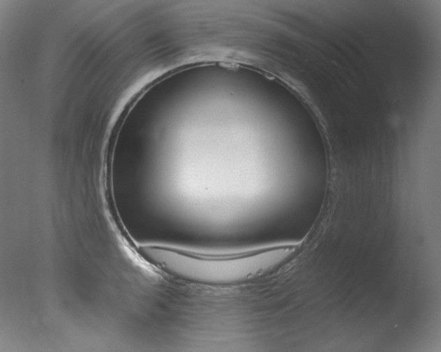 X0000077341136200610200934