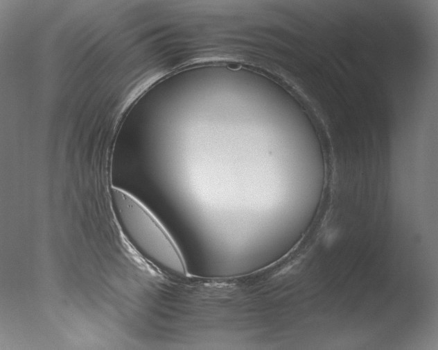 X0000077341137200610200934
