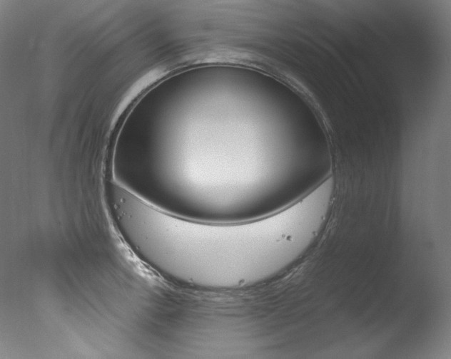 X0000077341138200610200934