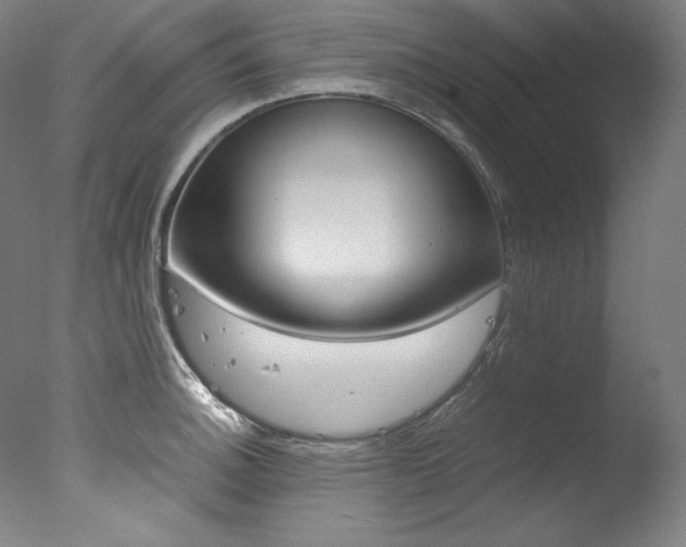 X0000077341140200610200934