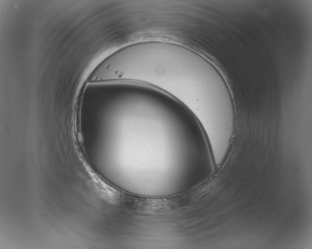 X0000077341144200610200934