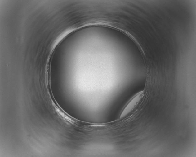 X0000077341151200610200934