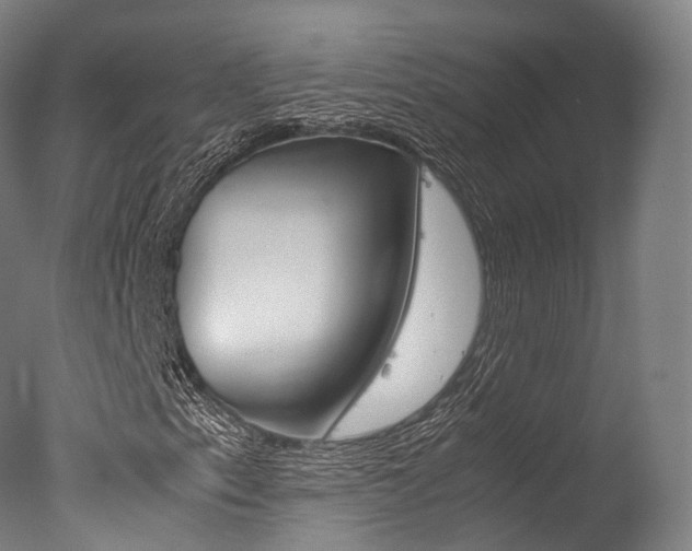 X0000077341153200610200933