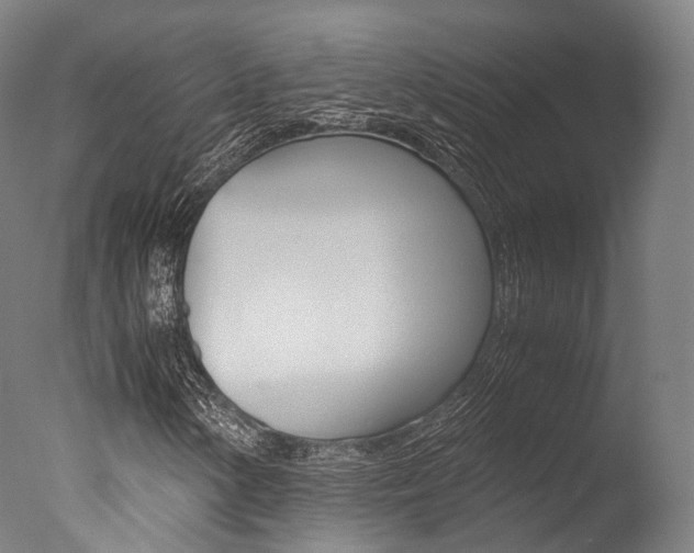 X0000077341154200610200933
