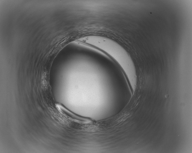 X0000077341156200610200933