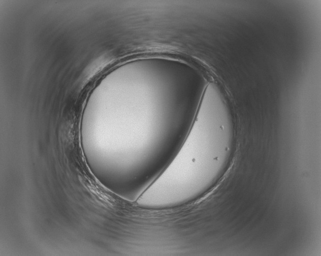 X0000077341163200610200933
