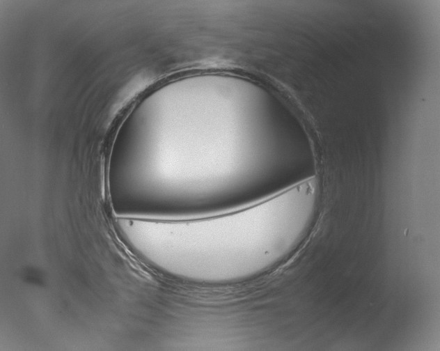 X0000077341171200610200933