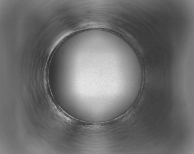 X0000077341182200610200933