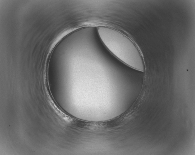 X0000077341195200610200932