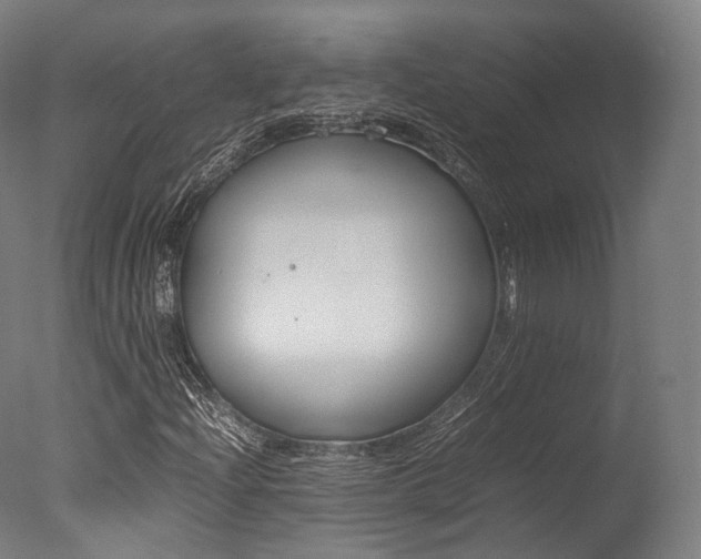 X0000077341204200610200932