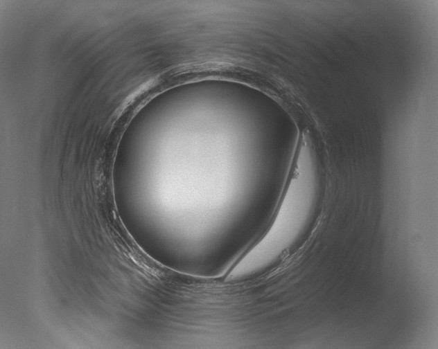 X0000077341210200610200932