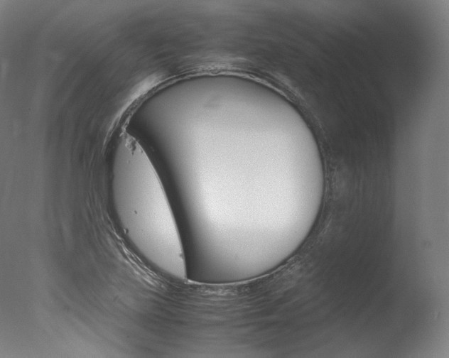 X0000077341219200610200932
