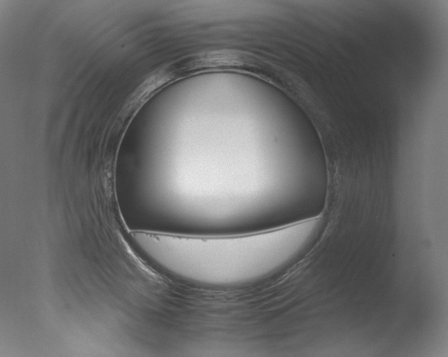X0000077341225200610200932