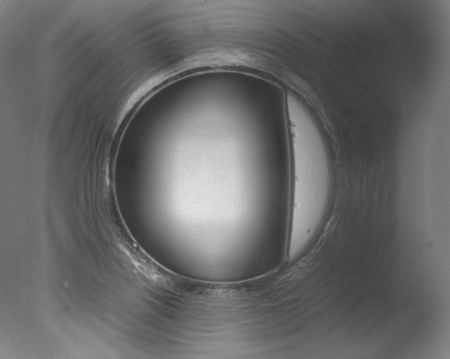 X0000077341226200610200932