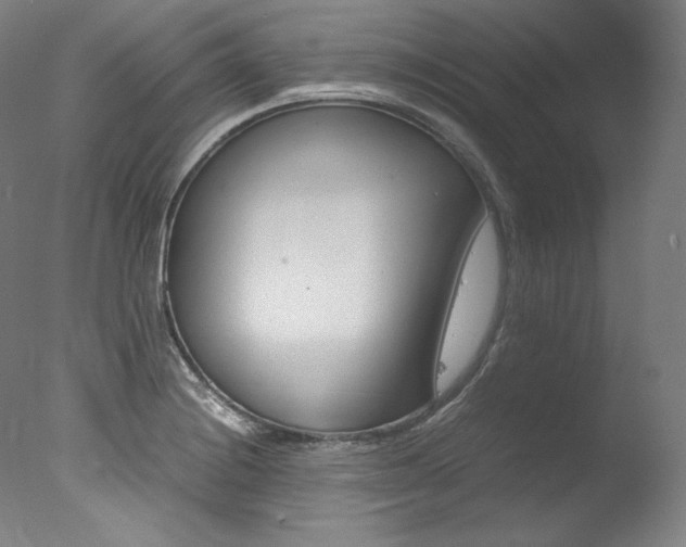 X0000077341228200610200932