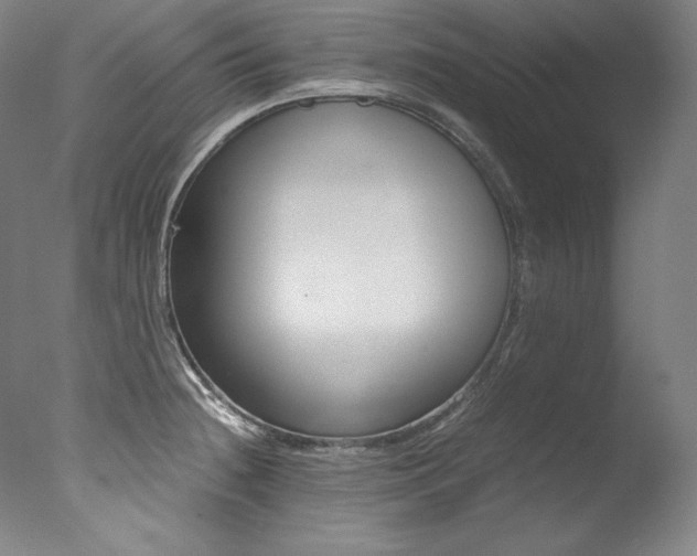 X0000077341236200610200932