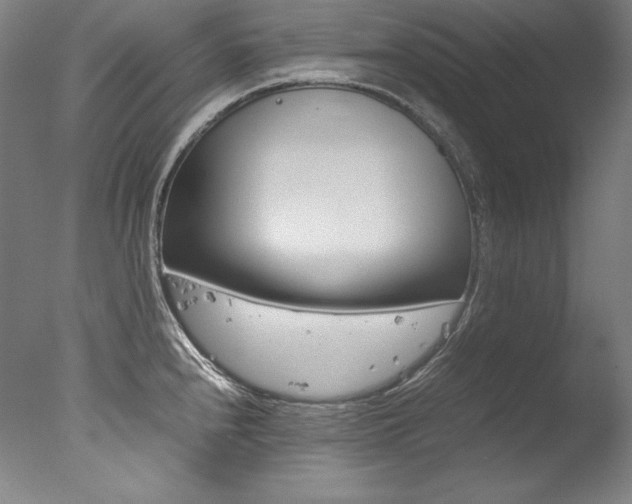 X0000077341240200610200932