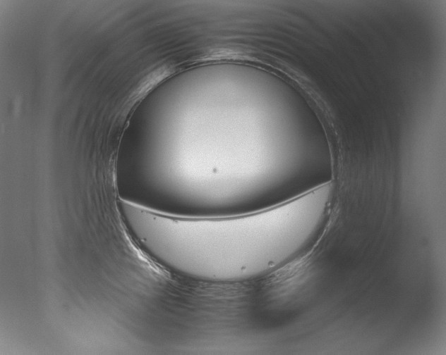X0000077341241200610200932
