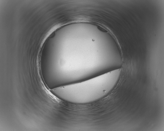 X0000077341243200610200932