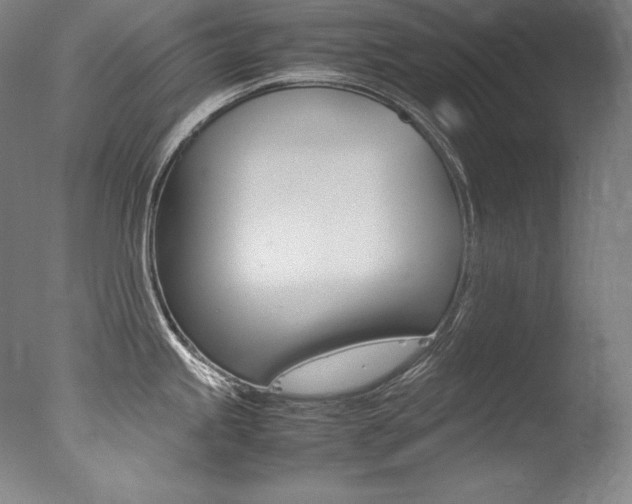 X0000077341245200610200932