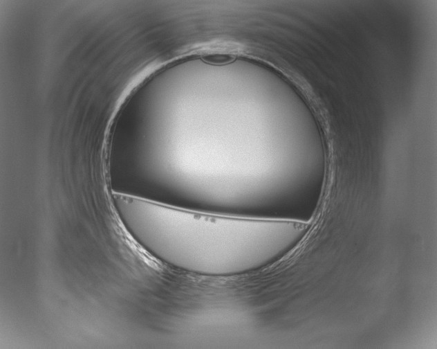 X0000077341248200610200932