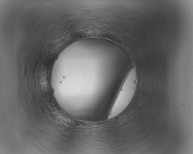 X0000077341250200610200932