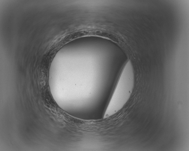 X0000077341253200610200932