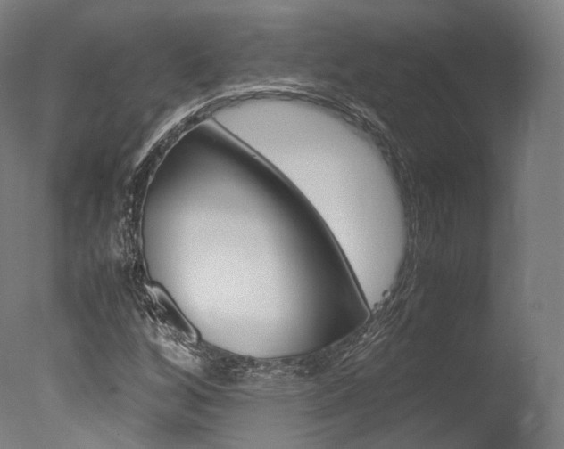 X0000077341256200610200931