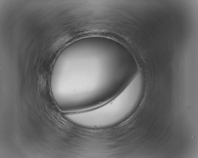 X0000077341257200610200931