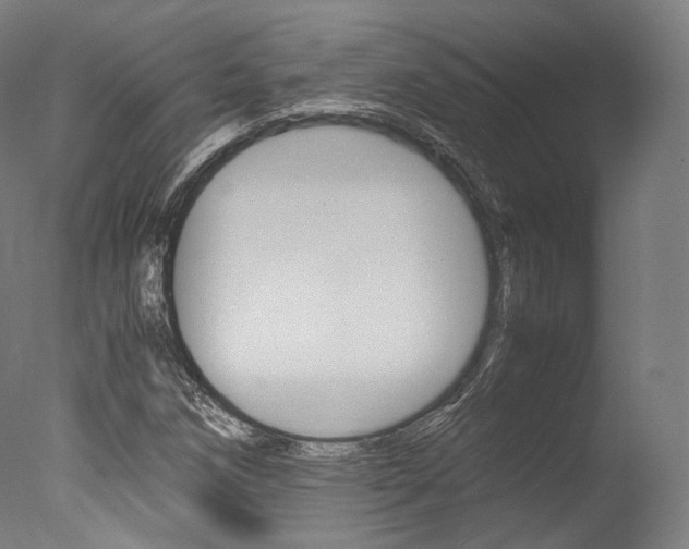 X0000077341258200610200931
