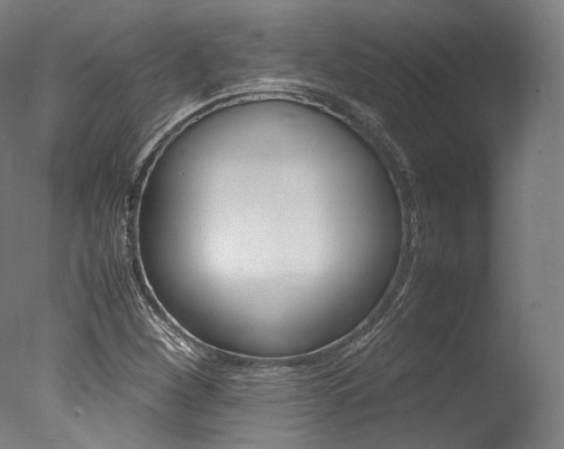 X0000077341260200610200931