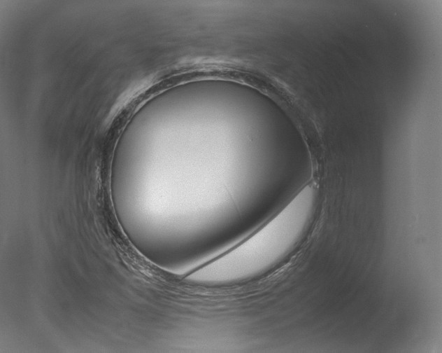 X0000077341261200610200931