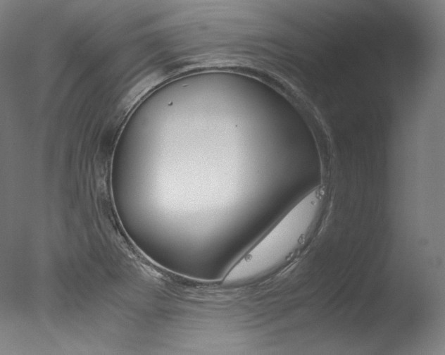 X0000077341273200610200931