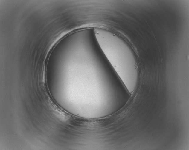 X0000077341276200610200931