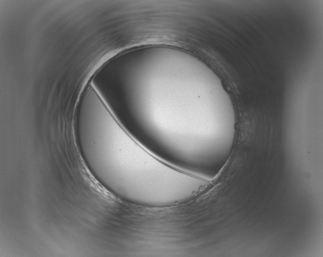 X0000077341284200610200931